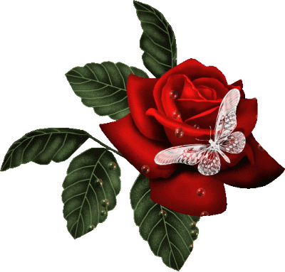 salwa